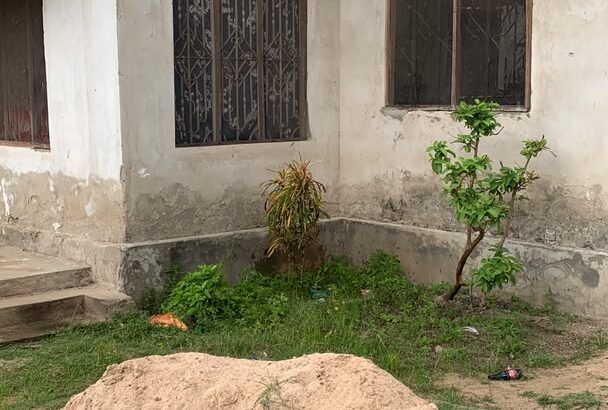 NYUMBA YA VYUMBA 3 INAUZWA TZS.30 MIL,KINYEREZI