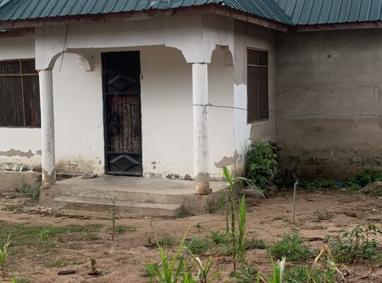 NYUMBA YA VYUMBA 3 INAUZWA TZS.30 MIL,KINYEREZI
