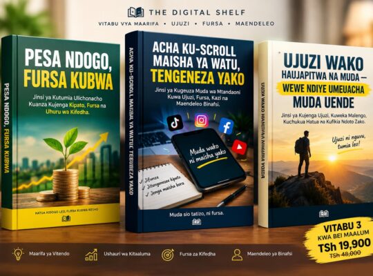 MFUMO WA KUJENGA MAISHA YAKO